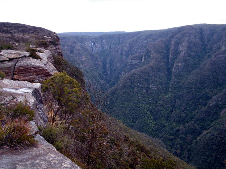 The wilds of Kanangra Gorge in the Blue Mountains