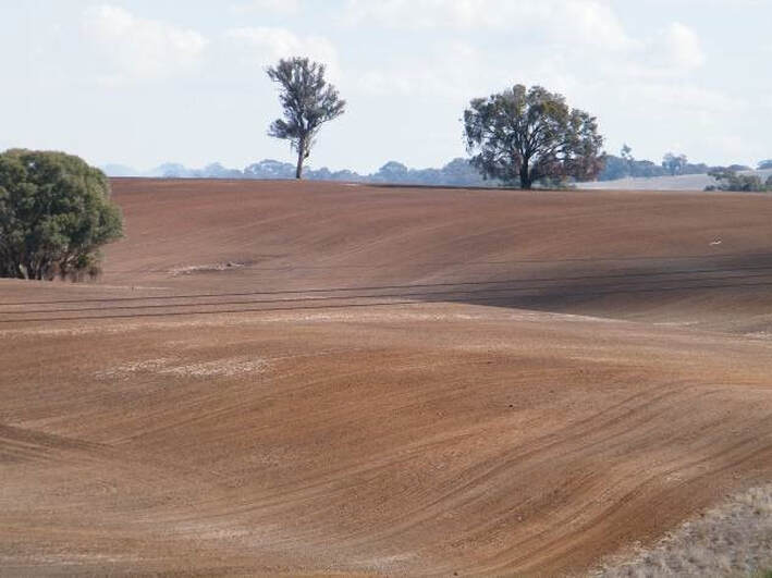 Image of bare ploughed soil, no kangaroo habitat